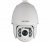 HikVision DS-2DF7225IX-AEL