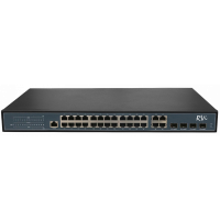 RVi-1NSM24G-4C
