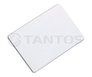 Tantos Temic (тонкая) TS фото